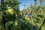 Vacature: Specialist fruitteelt